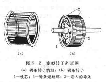 鼠笼式电机 结构图片